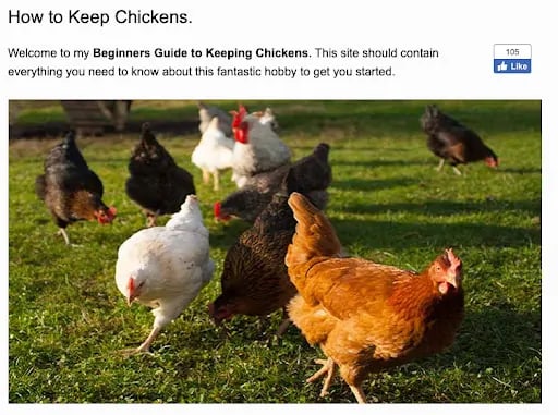 How to keep chickens article keyword density example